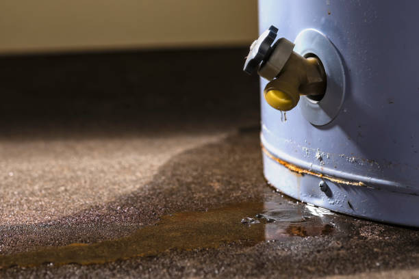 Best Mold removal after water damage  in Babson Park, FL