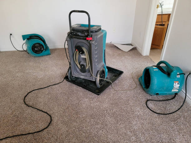 Best Water damage repair service  in Babson Park, FL