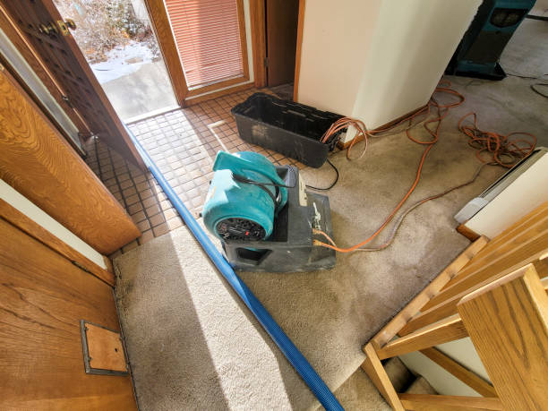 Carpet water damage restoration in Babson Park, FL