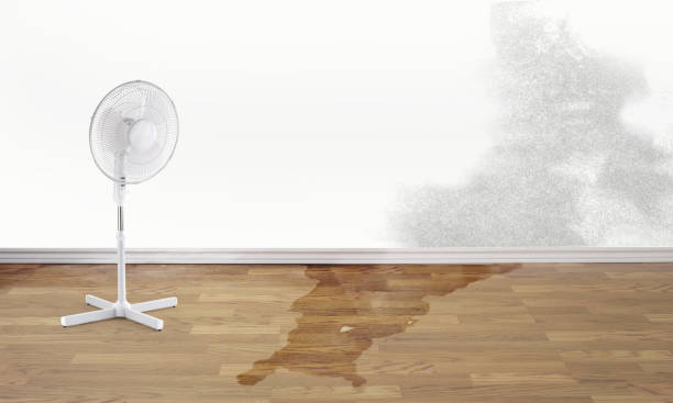 Best Sewage cleanup and water damage restoration  in Babson Park, FL