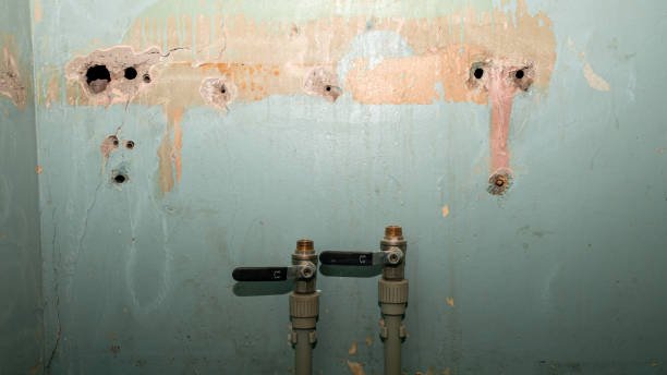 Best Commercial water damage restoration  in Babson Park, FL
