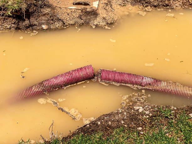 Best Residential water damage restoration  in Babson Park, FL