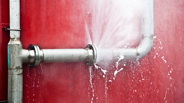 Best Water damage restoration near me  in Babson Park, FL