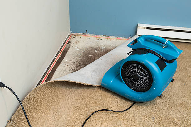 Best Water damage cleanup near me  in Babson Park, FL