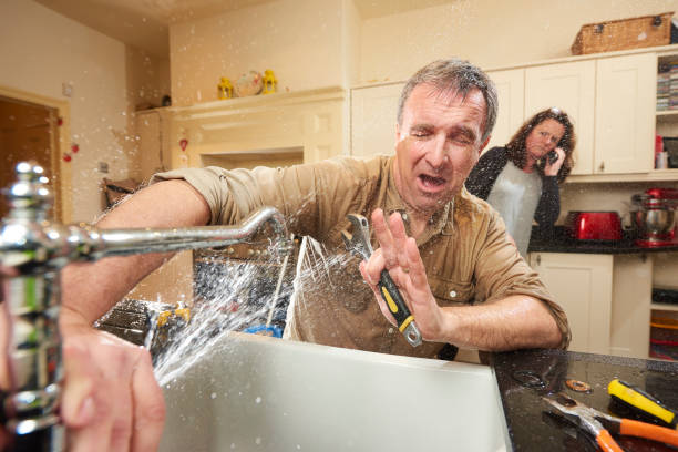 Best Basement water damage restoration  in Babson Park, FL